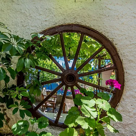 Πανσιόν Pounda Paou Metochi (South Pelion)