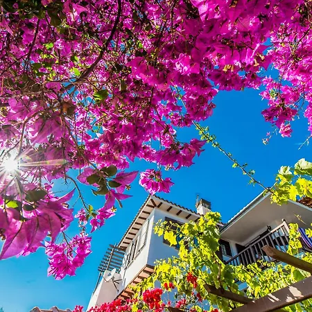 Gasthuis Pounda Paou Metochi (South Pelion)
