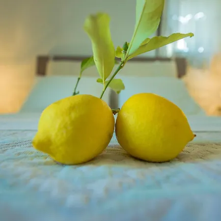 Πανσιόν Pounda Paou Metochi (South Pelion)